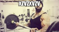 xzvzxvzv 