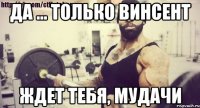 Да ... только Винсент Ждет тебя, мудачи