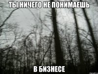 ты ничего не понимаешь в бизнесе