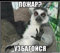 ПОЖАР? УЗБАГОЙСЯ