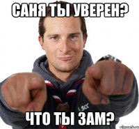 Саня ты уверен? Что ты зам?