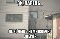 ЭЙ, ПАРЕНЬ... НЕ ХОЧЕШЬ НЕМНОЖЕЧКО ЗВЕРЯ?