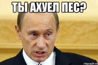 ты ахуел пес? 