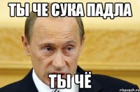 ты че сука падла ты чё