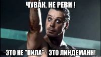 Чувак, не реви ! Это не "Пила" - Это Линдеманн!