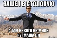 ЗАШЕЛ В СТОЛОВУЮ А ТАМ НИКОГО НЕТУ ИЛИ КУРМАША ))))