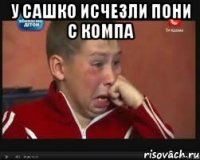 у сашко исчезли пони с компа 