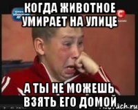 Когда животное умирает на улице А ты не можешь взять его домой