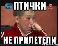 Птички не прилетели
