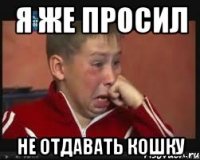 Я же просил Не отдавать кошку
