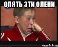 опять эти олени 