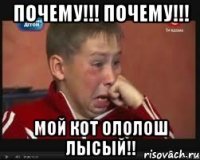 почему!!! почему!!! мой кот Ололош лысый!!
