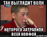 Так выглядит волк Которого затралили всей конфой