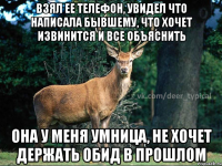 взял ее телефон, увидел что написала бывшему, что хочет извинится и все объяснить она у меня умница, не хочет держать обид в прошлом