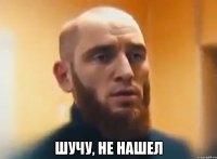  ШУЧУ, НЕ НАШЕЛ