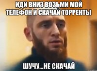 Иди вниз возьми мой телефон и скачай торренты Шучу...не скачай