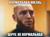 НОРМАЛЬНАЯ ЖИЗНЬ ШУЧУ, НЕ НОРМАЛЬНАЯ