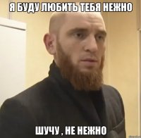 Я БУДУ ЛЮБИТЬ ТЕБЯ НЕЖНО ШУЧУ , НЕ НЕЖНО