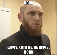 Пока шучу, хотя не, не шучу , пока