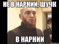 Не в Нарнии, шучк В Нарнии