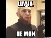 Шучу, Не мой