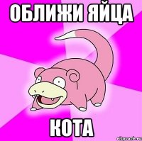 оближи яйца кота