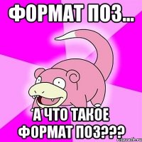 Формат поз... А что такое формат поз???