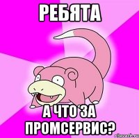 ребята а что за промсервис?