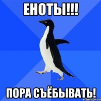 ЕНОТЫ!!! Пора съёбывать!