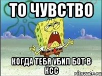 То чувство когда тебя убил бот в КСС