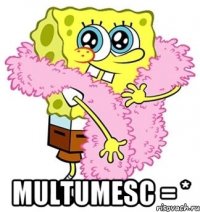  multumesc = *