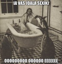 ia vas jdala sexiki ooooooooo oooooo eeeeeee