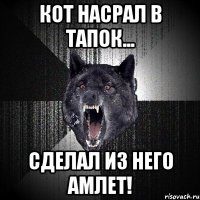 Кот насрал в тапок... Сделал из него АМЛЕТ!