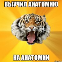 ВЫУЧИЛ АНАТОМИЮ НА АНАТОМИИ