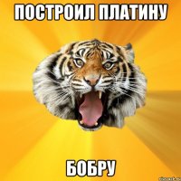 Построил платину бобру