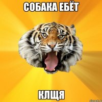 Собака ебёт Клщя