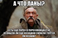 А что,паны? Есть еще порох в пороховницах? Не ослабела ли еще козацкая сила?Не гнутся ли козаки?