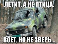 Летит, а не птица, Воет, но не зверь...