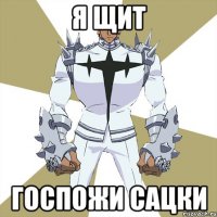 Я щит Госпожи Сацки