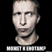  Может к енотам?