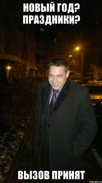 Новый год? Праздники? Вызов принят