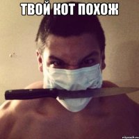 твой кот похож 