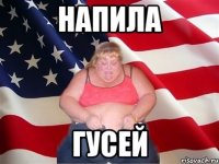 напила гусей