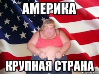 америка крупная страна