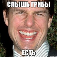 СЛЫШЬ ГРИБЫ ЕСТЬ