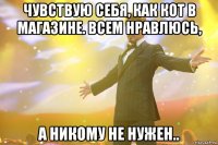 чувствую себя, как кот в магазине. Всем нравлюсь, а никому не нужен..