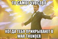 То самое чувство когда тебя прикрывают в War Thunder