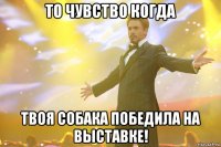 То чувство когда твоя собака победила на выставке!