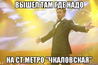 Вышел там где надо на ст.метро "Чкаловская"