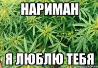 Нариман Я люблю тебя